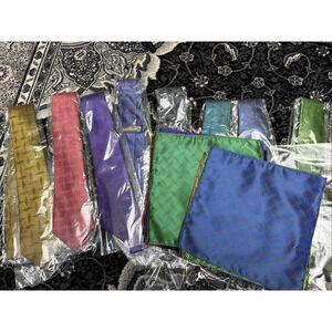 Lot Of 11 Neck Ties And Handkerchiefs Various Colors